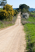 Road, roads, unsealed, dirt, track, tracks, unsealed road, unsealed roads, dirt road, dirt roads, dirt track, dirt tracks, SA, South Australia, Australia.