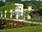 Europe, austria, austrian, salzburg, garden, gardens, mirabell, mirabell garden, mirabell gardens, palace, palaces, mirabell palace, rose, roses, rosa.