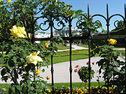 Europe, austria, austrian, salzburg, garden, gardens, mirabell, mirabell garden, mirabell gardens, palace, palaces, mirabell palace, rose, roses, rosa, fence, fences, garden fence, garden fences, fort, forts, fortress, fortresses, hohensalzburg, hohensalzburg fortress, salzburg fortress.