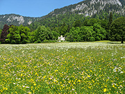 Europe, germany, bavaria, linderhof, linderhof castle, architecture, castle, castles, ludwig, king ludwig, kiosk, moorish, moorish kiosk, wildflowers, mountain, mountains.