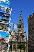 Spain, seville, spanish, architecture, cathedral, cathedrals, seville cathedral, cathedral of seville, cathedral of sevilla, postcard, postcards, paper, FF25,