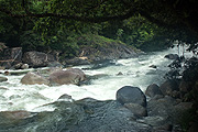 Australia, New South Wales, wannaring, river, rivers, barwon, barwon river, river barwon, water, rock, rocks, IS62,