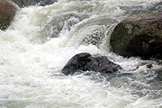 Australia, New South Wales, wannaring, river, rivers, barwon, barwon river, river barwon, water, rock, rocks, IS62,