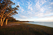 Australia, qld, queensland, bribie, bribie island, beach, beaches, coast, coasts, coastal, coastline, coastlines, pumistone, pumistone passage, tree, trees, IS62,