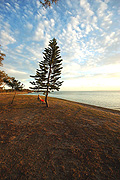 Australia, qld, queensland, bribie, bribie island, beach, beaches, coast, coasts, coastal, coastline, coastlines, pumistone, pumistone passage, tree, trees, IS62,