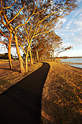 Australia, qld, queensland, bribie, bribie island, beach, beaches, coast, coasts, coastal, coastline, coastlines, pumistone, pumistone passage, tree, trees, road, roads, sealed, sealed road, sealed roads, IS62,