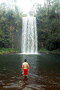 Australia, qld, queensland, waterfall, waterfalls, mia, mia mia, mia mia falls, mia mia waterfall, rainforest, rainforests, forest, forests, people, man, men, male, males, outdoors, DFF, DFFNATPKS, IS62,