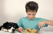 Child, children, boy, boys, male, males, dog, dogs, domestic, domestic dog, domestic dogs, people and animals, children and animals, people with animals, children with animals, pet, pets, spaghetti, pasta, meal, meals, table, tables, eat, eats, eating, Australia, Sport pictures, Sports, balloon images, hot air balloons