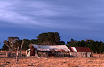 Australia, New South Wales, rural, rural scene, rural scenes, shed, sheds, abandoned building, abandoned buildings, farm, farms, farmland.