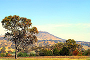 Australia, New South Wales, hay, hay plain, hay plains, outback, australian outback, outback australia, CS34,