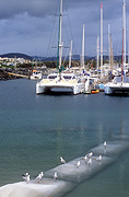 Australia, New South Wales, Coffs, Coffs Harbour, harbour, harbours, marina, marinas, yacht, yachts, moored, boat, boats, boating, catamaran, catamarans.