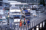Australia, New South Wales, Coffs, Coffs Harbour, harbour, harbours, marina, marinas, yacht, yachts, moored, boat, boats, boating.