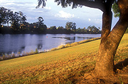 Australia, New South Wales, hawkesbury, hawkesbury area, hawkesbury region, hawkesbury district, hawkesbury river, river, rivers, water, tree, trees, mood, mood scene, mood scenes, sunset, sunsets, sunrises and sunsets.