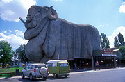 Australia, New South Wales, goulburn, great dividing range, big thing, big things, merino, merinos, sheep, merino sheep, horn, horns, big merino.