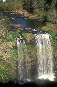 Australia, New South Wales, dorrigo, dorrigo np, dorrigo national park, dangar falls, great dividing range, dangars falls, dangar waterfall, National Park, National Parks, dangar water fall, waterfall, waterfalls, running water, water.