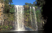 Australia, New South Wales, dorrigo, dorrigo np, dorrigo national park, dangar falls, great dividing range, dangars falls, dangar waterfall, National Park, National Parks, dangar water fall, waterfall, waterfalls, running water, water.