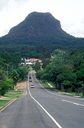 Australia, qld, queensland, pomona, mount cooroora, mt cooroora, mountain, mountains, road, roads, sealed, sealed road, sealed roads, tree, trees.