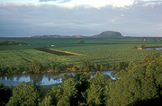 Farming, Farmland, farm, farms, Australia, Qld, Queensland, sugar, sugar cane, sugar cane field, sugar cane fields, rural, rural scene, rural scenes, maroochy, maroochy river, mt coolum, mount coolums.