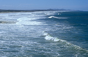 Australia, qld, queensland, sunshine coast, beach, beaches, wave, waves, coast, coasts, coastline, coastlines.