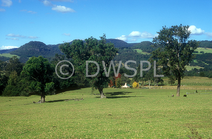 stock photo image: Australia, New South Wales, kangaroo valley, valley, valleys, rural, rural scene, rural scenes, farm, farms, farming, tree, trees, farm, farms, farming, great dividing range.