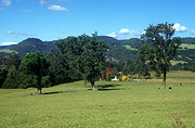Australia, New South Wales, kangaroo valley, valley, valleys, rural, rural scene, rural scenes, farm, farms, farming, tree, trees, farm, farms, farming, great dividing range.