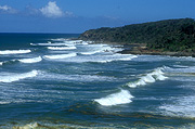 Australia, qld, queensland, sunshine coast, wave, waves, coast, coasts, coastline, coastlines, water, water scene, water scenes.