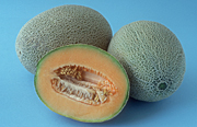 Food, fruit, melon, melons, rock, rock melon, rock melons, cucumis, melo, cucumis melo, cantalupensis, cantaloupe, cantaloupes, Agriculture, rockmelon, rockmelons, rock.