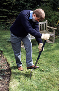 Garden, gardens, gardening, gardener, gardeners, man, men, male, males, outdoors, lawn, lawns, fork, forks, garden fork, garden forks, gardening fork, gardening forks, tool, tools, gardening tool, gardening tools, aerate, aerates, aerating.