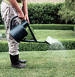 Garden, gardens, gardening, gardener, gardeners, water, watering can, watering cans.