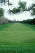 Canada, niagara, niagara park, whirlpool, whirlpool golf course, Sport pictures, Sports, golf, golf game, golf games, golf course, golf courses.