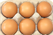 Bird, birds, chicken, chickens, hen, hens, egg, eggs, carton, cartons, egg carton, egg cartons, packaging, paper, cardboard.