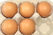 Bird, birds, chicken, chickens, hen, hens, egg, eggs, carton, cartons, egg carton, egg cartons, packaging, paper, cardboard.