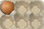 Bird, birds, chicken, chickens, hen, hens, egg, eggs, carton, cartons, egg carton, egg cartons, packaging, paper, cardboard.