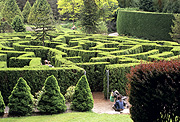 Canada, british columbia, vancouver, garden, gardens, vandusen, vandusen botanical gardens, vandusen garden, vandusen gardens, botanical garden, botanical gardens, maze, mazes, hedge, hedges, hedging, RW59,