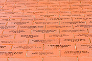 Australia, Australians, SA, South Australia, Adelaide, torrens parade, torrens parade ground, war memorial, war memorials, memorial, memorials, monument, monuments, digger, diggers, vietnam, war, wars, vietnam war.