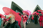 Australia, australian, nsw, new South Wales, sydney, opera house, sydney opera house, protester, protesters, demonstration, demonstrations, demonstrator, demonstrators, prostitution, prostitute, prostitutes, umbrella, umbrellas, red umbrella day, people, woman, women, female, females, step, steps.