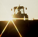 Crop, crops, wheat, wheat crop, wheat crops, farmer, farmers, machinery, john deere, tractor, tractors, rural, rural scene, rural scenes, farming.