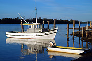 Australia, New South Wales, boat, boats, boating, vehicle, vehicles, fishing, fishing industry, fishing boat, fishing boats, industry, commercial, commercial fishing, trawler, trawlers, fishing trawler, fishing trawlers, moored, mooring, moorings.