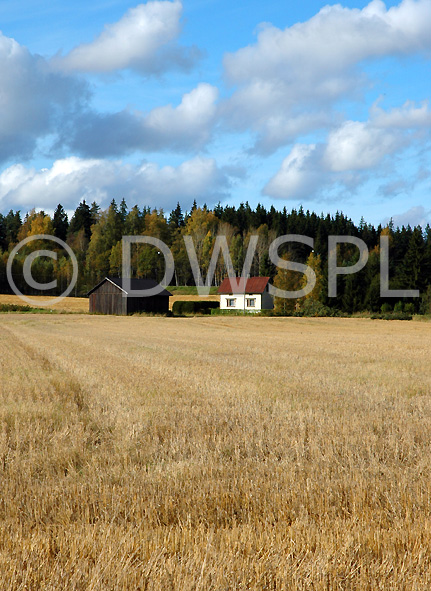 stock photo image: Finland, Forssa, farm, farms, barn, barns, rural, rural scene, rural scenes, BS65,