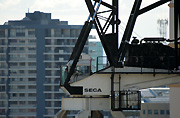 Australia, qld, queensland, gold coast, industry, crane, cranes, machine, machines, machinery, construction, construction industry, building industry, construction site, constructions sites, building site, building sites, house, houses, housing.