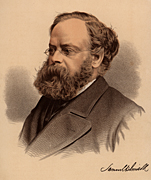 History, english, england, plimsoll, samuel, samuel plimsoll, politician, politicians, politics, reformer, reformers, bristol, coffin ship, coffin ships, 1876, shipping act, shipping acts, merchant shipping act, prisoner, prisoners,