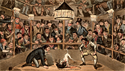 Tom and Jerry sporting their blunt on the phenomenon Monkey Jaco Macacco at the Westminster Westminster Pit. In the centre of the picture Tom and Jerry are placing cash bets (sporting their blunt) on the outcome of the fight between a monkey and a bull