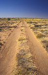 Australia, Australian, Australian desert, Australian deserts, road, roads, unsealed road, unsealed roads, dirt road, dirt roads, canning stock route, WA, Western Australia, Australia, Great Sandy Desert, Great Sandy, Desert, deserts, desert scenes, outback, australian outback, outback australia.