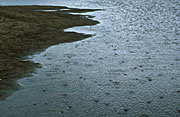Australia, Atmosphere, Meteorology, Climate, Weather, storm, storms, water, rain, rains, raining, raindrop, raindrops, rain drop, rain drops, water drop, water droplets, australia, lake, lakes, river, rivers, sydney.