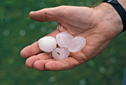 Australia, Meteorology, Climate, Weather, hailstorm, hailstorms, hail storm, hail storms, hail, hand, hands, human hand, human hands, hailstone, hailstones, hail stone, hail stones, ice, ball, balls, skin, watch, watches, wristwatch, wristwatches, wrist watch, wrist watches.