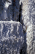 Australia, recycle, recycles, recycling, paper recycling, recycling paper, paper.