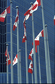 Canada, flag, flags, canadian flag, canadian flags, vancouver, pole, poles, flagpole, flagpoles, flag pole, flag poles, maple leaf, maple leaf flag, maple leaf flags.