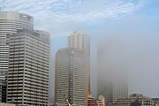 Australia, New South Wales, sydney, fog, foggy, architecture, skyscraper, skyscrapers, highrise, high-rise, high-rise building, high-rise buildings.