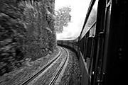 Australia, New South Wales, train, trains, rail, transport, transportation, vehicle, vehicles, steam, steam train, steam trains, steam engine, steam engines, railway, railways.