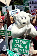Australia, pollution, pollute, pollutes, polluting, fossil fuel, fossil fuel, environmental, environmental damage, nsw, sydney, walk against warming, global warming, protest, protests, protesting, people, protester, protesters, sign, signs, vote, votes, voting, election, elections, crowd, crowds.